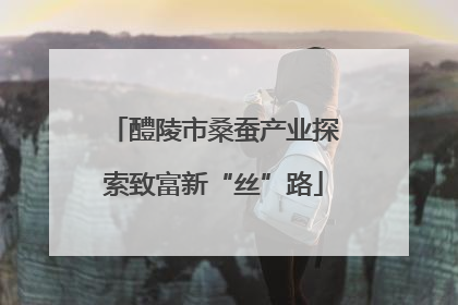 醴陵市桑蚕产业探索致富新“丝”路