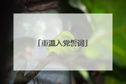 重温入党誓词