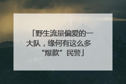 野生流量偏爱的一大队，缘何有这么多“爆款”民警