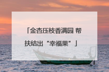 金杏压枝香满园 帮扶结出“幸福果”