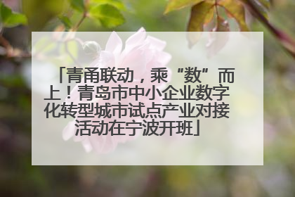 青甬联动，乘“数”而上！青岛市中小企业数字化转型城市试点产业对接活动在宁波开班