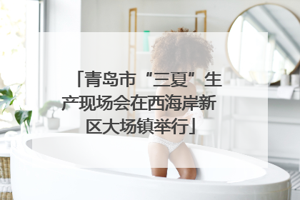 青岛市“三夏”生产现场会在西海岸新区大场镇举行
