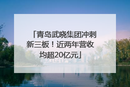 青岛武晓集团冲刺新三板！近两年营收均超20亿元