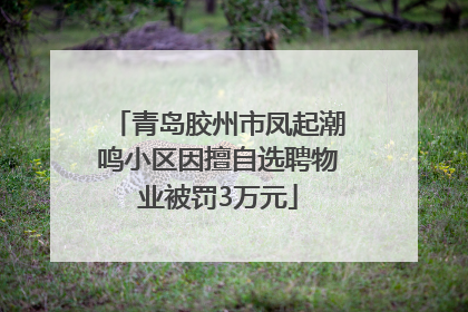 青岛胶州市凤起潮鸣小区因擅自选聘物业被罚3万元