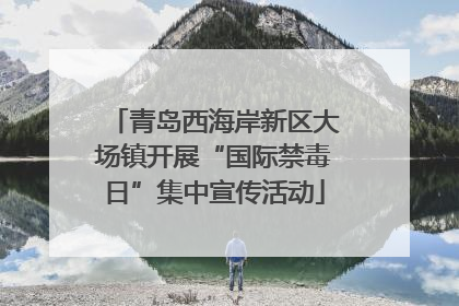 青岛西海岸新区大场镇开展“国际禁毒日”集中宣传活动
