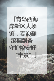 青岛西海岸新区大场镇：麦浪翻滚穗飘香 守护粮安好“丰景”