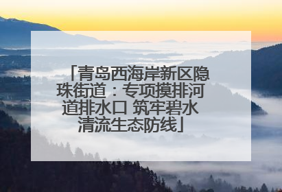 青岛西海岸新区隐珠街道：专项摸排河道排水口 筑牢碧水清流生态防线