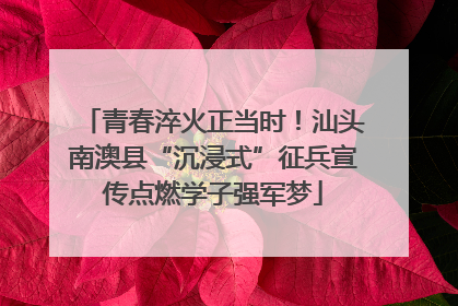 青春淬火正当时！汕头南澳县“沉浸式”征兵宣传点燃学子强军梦