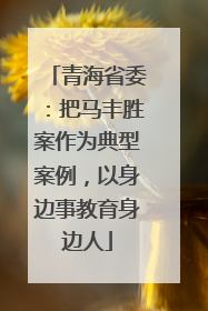 青海省委：把马丰胜案作为典型案例，以身边事教育身边人