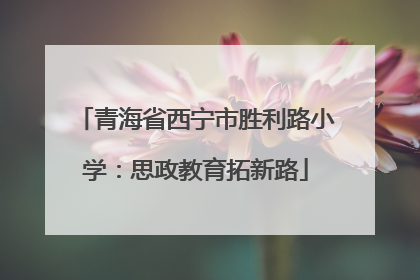 青海省西宁市胜利路小学：思政教育拓新路