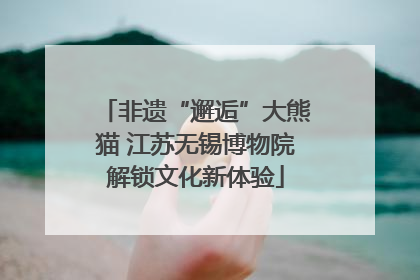 非遗“邂逅”大熊猫 江苏无锡博物院解锁文化新体验