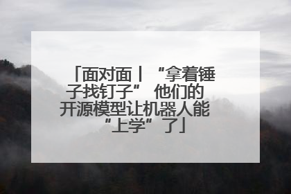 面对面丨“拿着锤子找钉子” 他们的开源模型让机器人能“上学”了