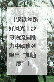 钢铁丝路好风光丨沙良物流园助力中欧班列跑出“加速度”
