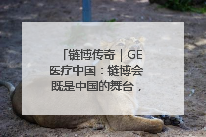 链博传奇｜GE医疗中国：链博会既是中国的舞台，也是世界的橱窗