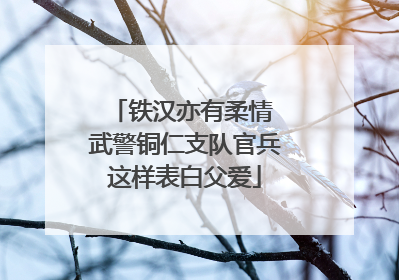 铁汉亦有柔情 武警铜仁支队官兵这样表白父爱