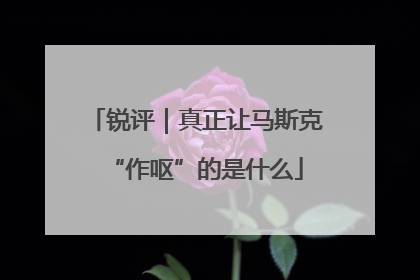 锐评｜真正让马斯克“作呕”的是什么