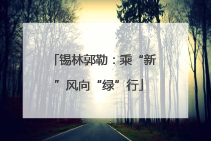 锡林郭勒：乘“新”风向“绿”行