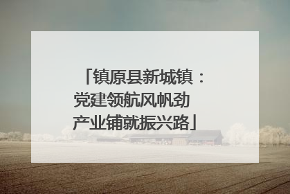 镇原县新城镇：党建领航风帆劲 产业铺就振兴路