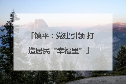 镇平：党建引领 打造居民“幸福里”
