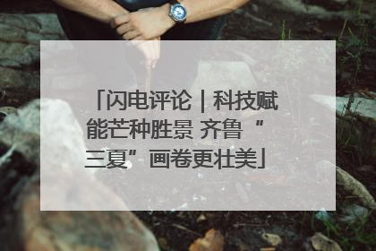 闪电评论｜科技赋能芒种胜景 齐鲁“三夏”画卷更壮美