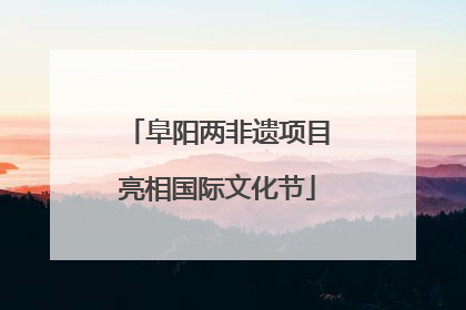 阜阳两非遗项目亮相国际文化节