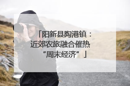 阳新县陶港镇：近郊农旅融合催热“周末经济”