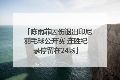 陈雨菲因伤退出印尼羽毛球公开赛 连胜纪录停留在24场