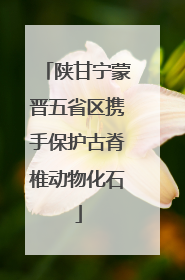 陕甘宁蒙晋五省区携手保护古脊椎动物化石