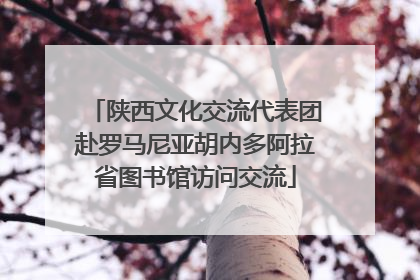 陕西文化交流代表团赴罗马尼亚胡内多阿拉省图书馆访问交流