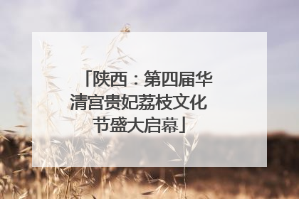陕西：第四届华清宫贵妃荔枝文化节盛大启幕