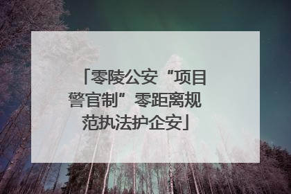 零陵公安“项目警官制”零距离规范执法护企安