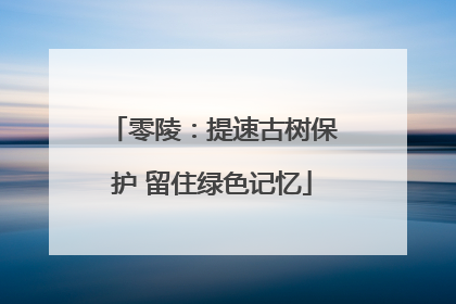 零陵：提速古树保护 留住绿色记忆