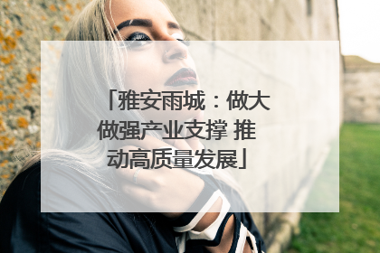雅安雨城：做大做强产业支撑 推动高质量发展