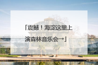 震撼！海淀这里上演森林音乐会→