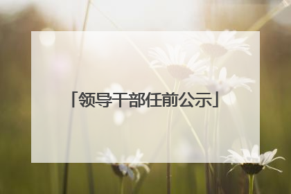 领导干部任前公示