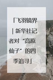 飞羽镜界｜新华社记者对“高原仙子”的四季追寻