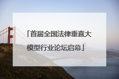 首届全国法律垂直大模型行业论坛启幕