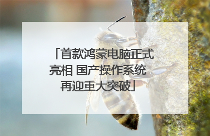 首款鸿蒙电脑正式亮相 国产操作系统再迎重大突破