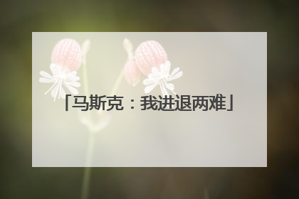 马斯克：我进退两难