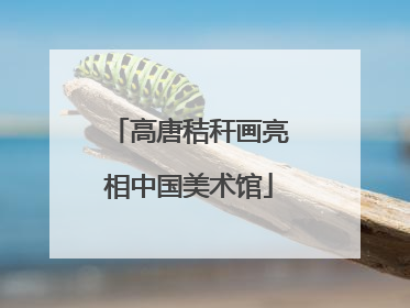 高唐秸秆画亮相中国美术馆