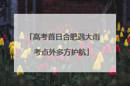 高考首日合肥遇大雨 考点外多方护航