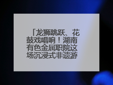 龙狮跳跃、花鼓戏唱响！湖南有色金属职院这场沉浸式非遗游园活动很带感