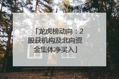 龙虎榜动向：2股获机构及北向资金集体净买入