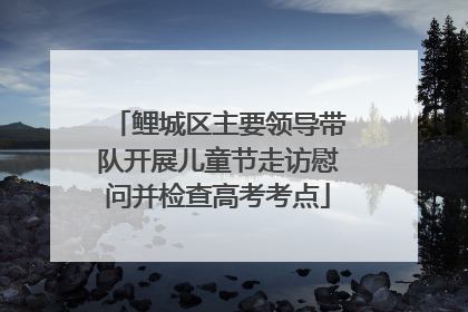 鲤城区主要领导带队开展儿童节走访慰问并检查高考考点