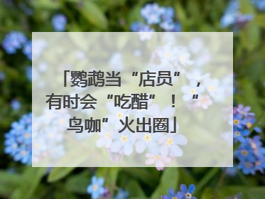 鹦鹉当“店员”，有时会“吃醋”！“鸟咖”火出圈