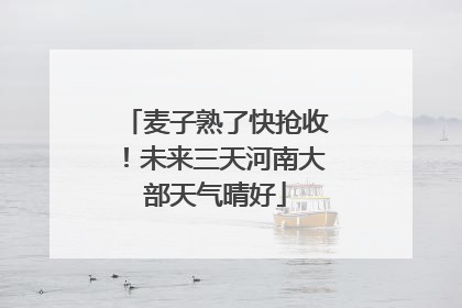 麦子熟了快抢收！未来三天河南大部天气晴好