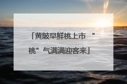 黄陂早鲜桃上市 “桃”气满满迎客来