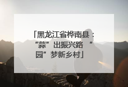 黑龙江省桦南县：“蒜”出振兴路 “园”梦新乡村