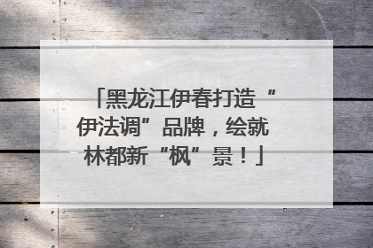 黑龙江伊春打造“伊法调”品牌，绘就林都新“枫”景！