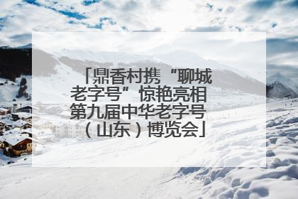 鼎香村携“聊城老字号”惊艳亮相第九届中华老字号（山东）博览会